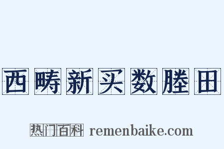 西畴新买数塍田是什么意思的图片